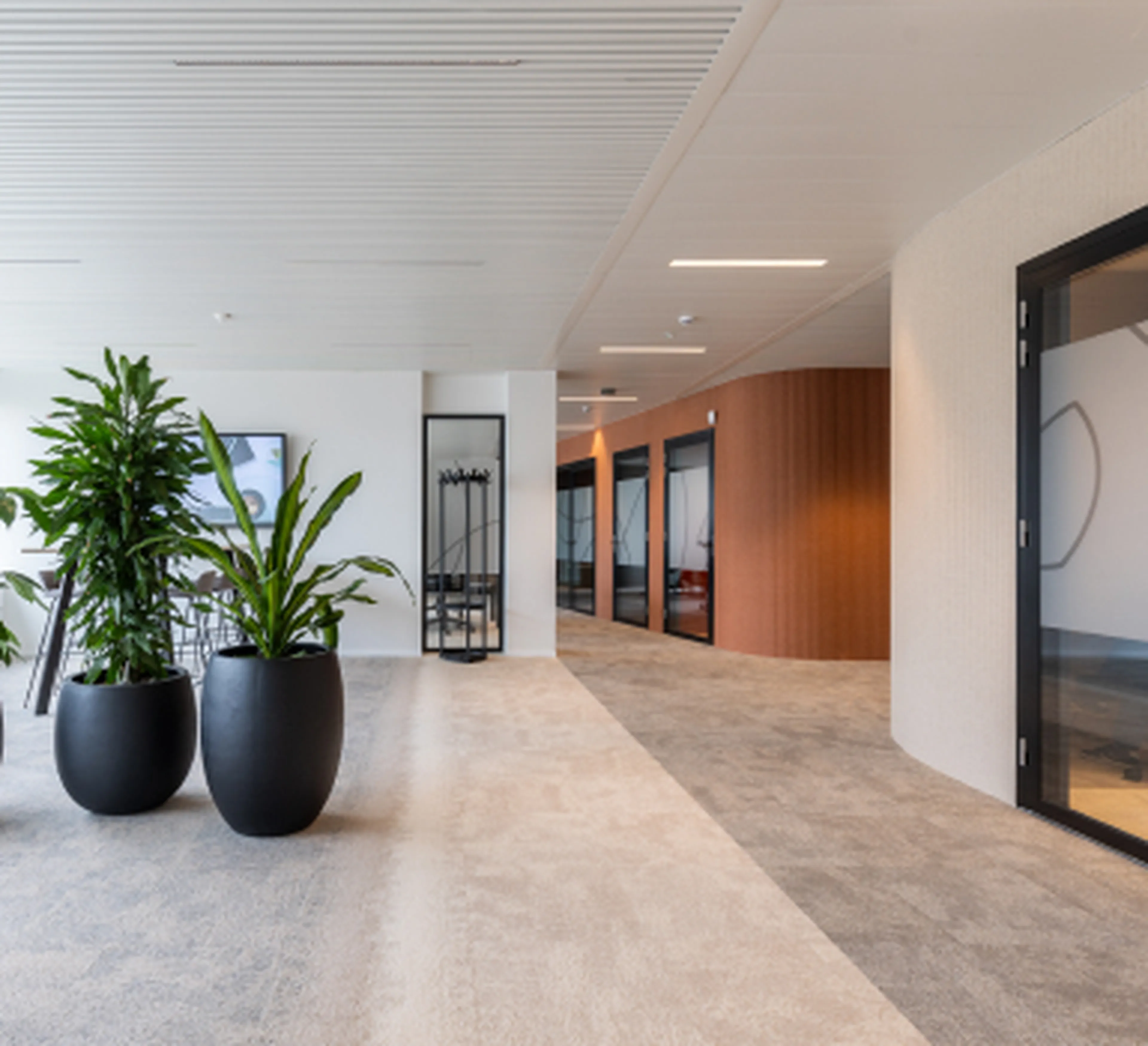 Moderne en lichte gang in het hoofdkantoor van Q8 in Antwerpen. De ruimte is ingericht met grote planten in zwarte potten, een kapstok in industriële stijl, en houten wanden met ingewerkte vergaderruimtes aan de rechterzijde.